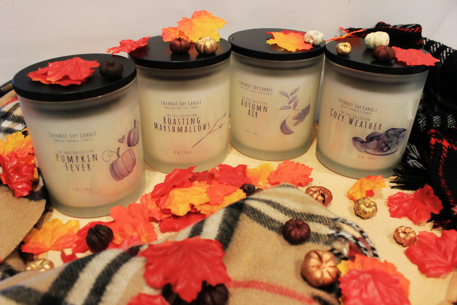 The Fall Collection